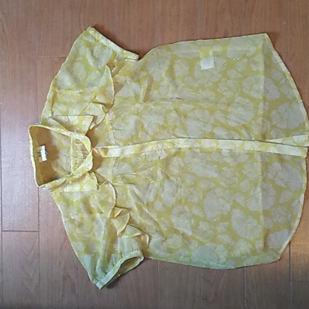 dRA sheer blouse